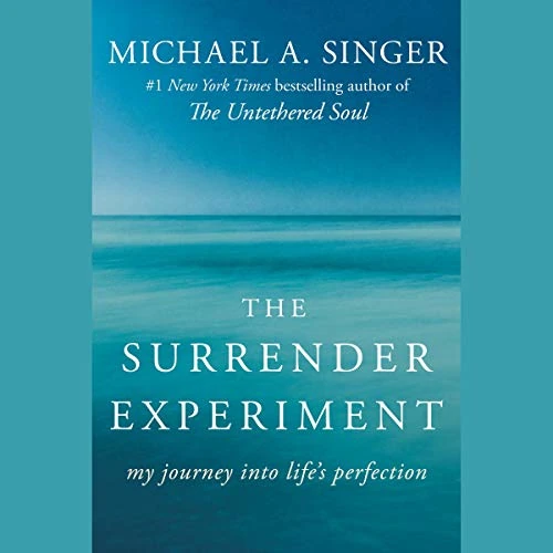 The Surrender Experiment: My Journey into Life’s Perfection